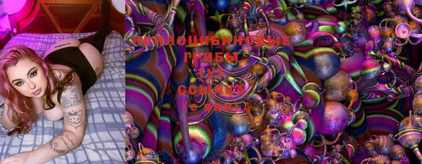 прущая мука Нея