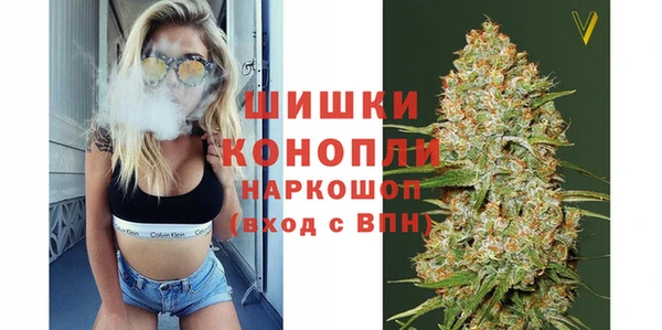прущая мука Нея